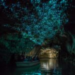 Top Waitomo Experiences for Anyone Who Loves the Stars